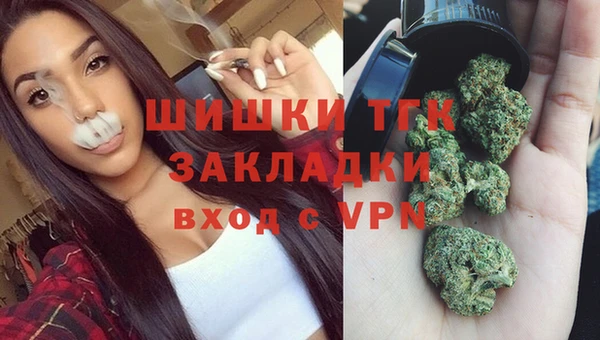 сатива Михайловка