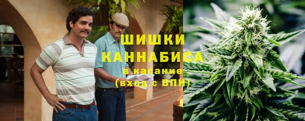 сатива Михайловка