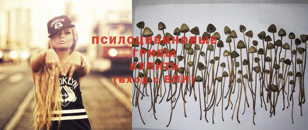 прущая мука Наволоки