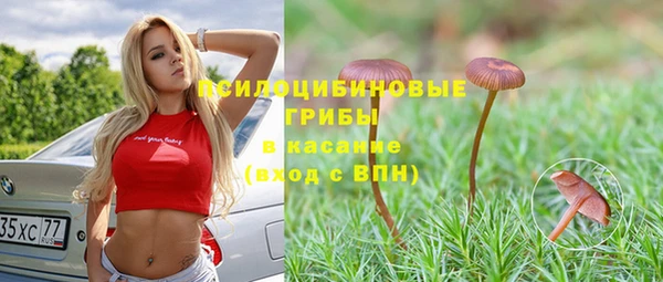 сатива Михайловка