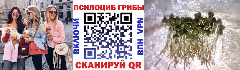 наркота  Починок  blacksprut   Галлюциногенные грибы мицелий 