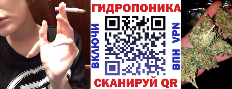 Марихуана план купить наркотики цена МЕГА Починок